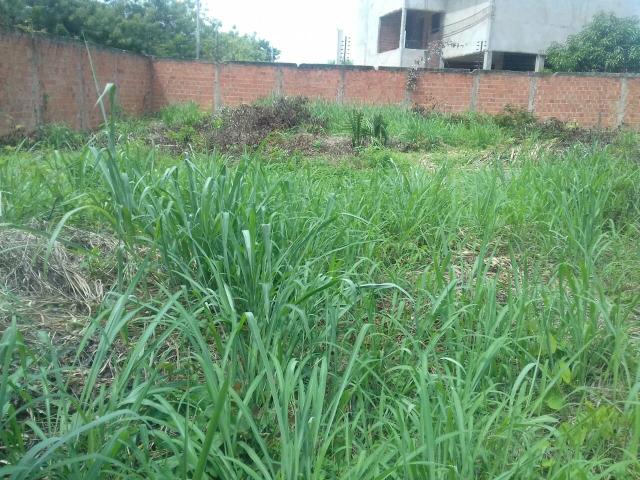 Terreno Condomínio Kennedy Park - Foto 4