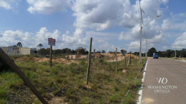 Terreno à venda, 426 m² por r$ 234.300,00 - iguaçu - araucária/pr