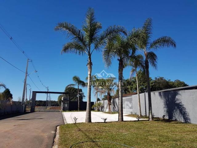 Terreno em condomínio fechado, 125m² exclusivos, área verde, a partir de r$105 mil reais - Foto 3