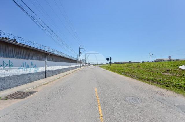 Terreno à venda em Roseira, São josé dos pinhais cod:924631 - Foto 3