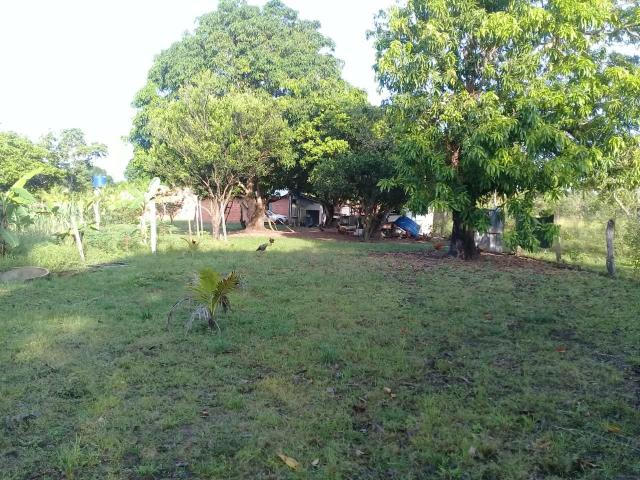 Vende-se uma chácara - Foto 9