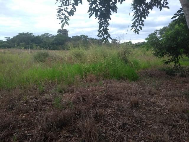 Terreno na Rodovia Ilhéus/Itabuna km 07 - Banco da Vitória - Foto 5