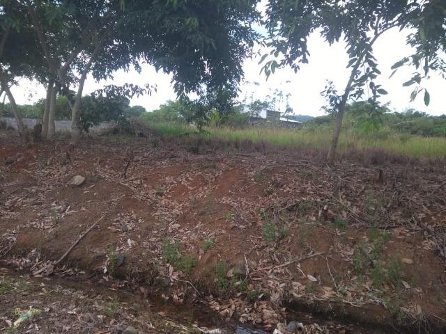 Terreno na Rodovia Ilhéus/Itabuna km 07 - Banco da Vitória - Foto 3