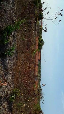 Lotes em Panaquatira(Itapari) - Foto 3