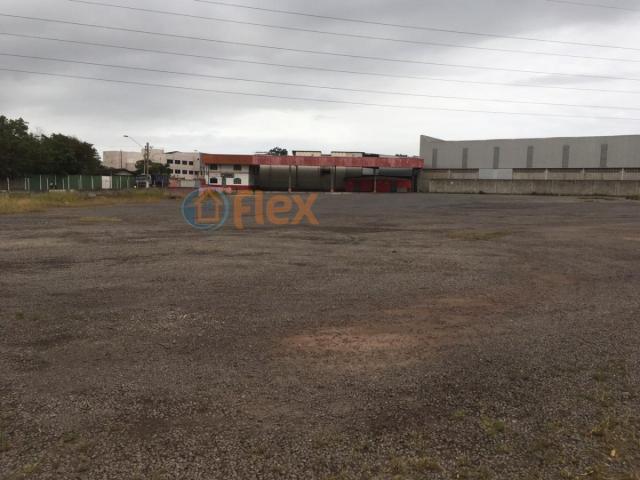 Terreno para alugar em São geraldo, Serra cod:FLEX-AREA0032 - Foto 2
