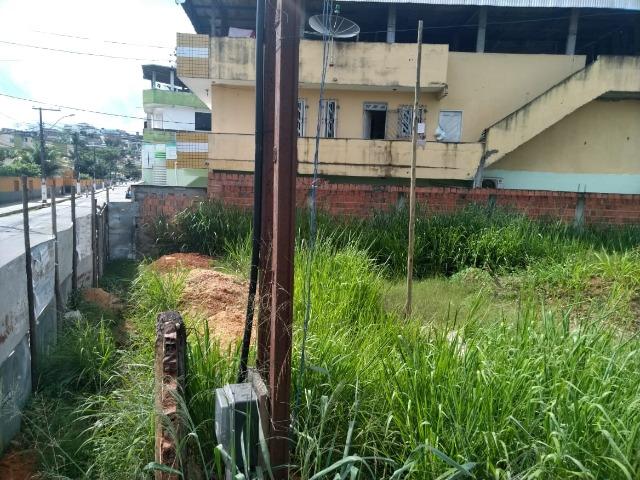 Oportunidade - Terreno espaçoso na Rua Floresta - Foto 18