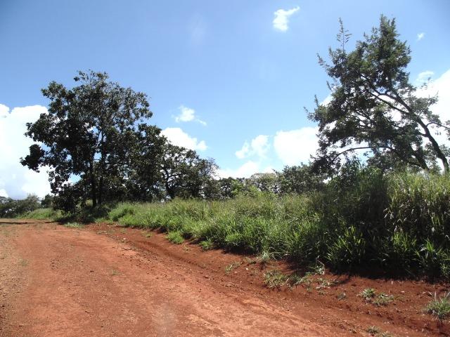 Terreno 02 Hectares Cond. Mansões Park Brasília - Área Rural Nova Betania Df - 135 - Foto 20