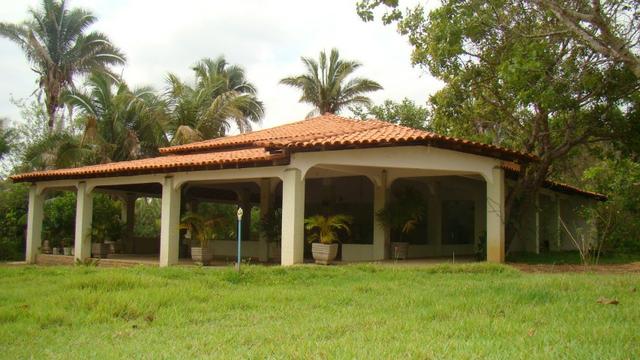 Oportunidade! Lindo sitio á 17 km de Teresina com dois Hectares. - Foto 4