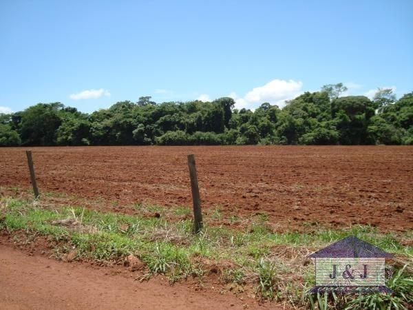 Fazenda município de Edealina - GO! Agende sua visita !!! - Foto 2