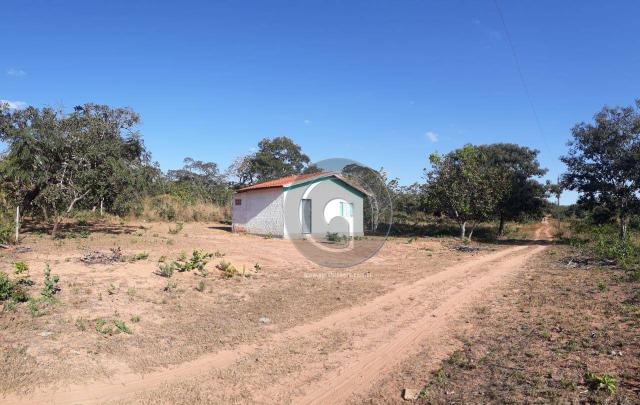 Chácara 7 hec na beira do asfalto estrada do manso à venda por r$ 120.000,00 - Foto 2