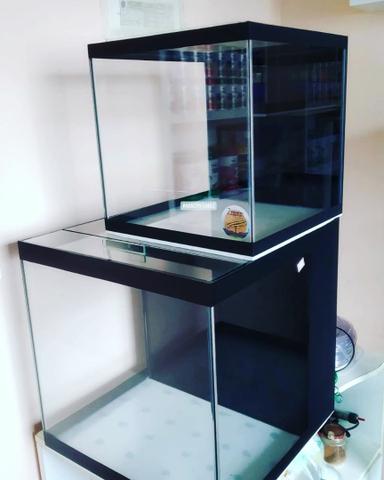 Aquários, Móveis, sob medida, luminárias, acessórios, rações - Foto 3
