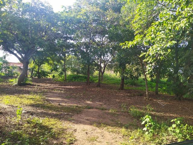 Chácara a Venda! - Foto 8
