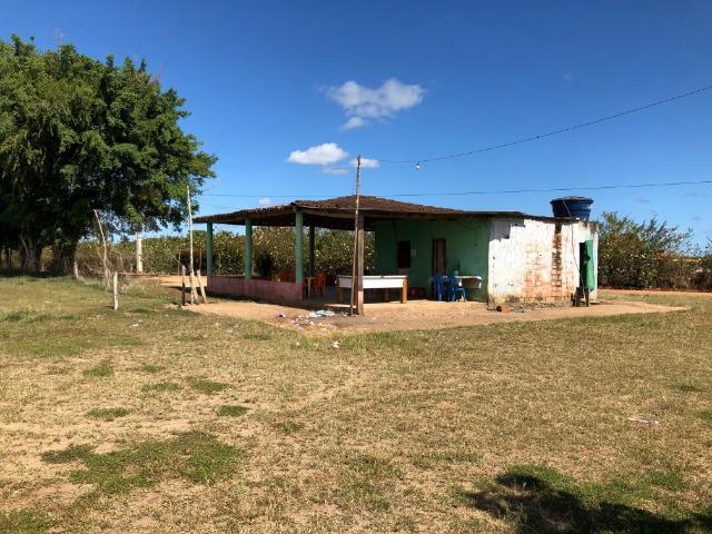 Bar e lote ao lado - Foto 7