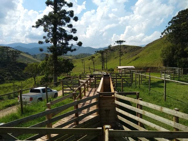 Fazenda em Visconde de Mauá RJ - Foto 3