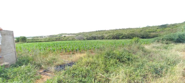 Vendo Sitio as margens do Açude Cordeiro em Congo-PB, medindo 30,00ha. - Foto 8