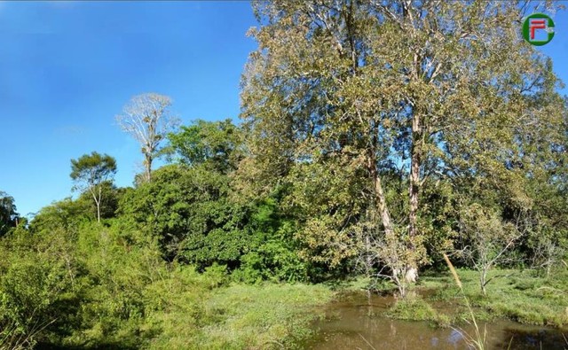 Terreno 10,2Ha em Guaramiranga, margem do asfalto, 7 km da sede do municipio.