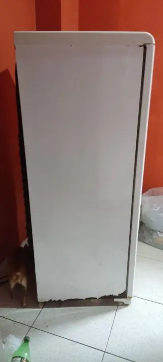 Geladeira Eletrolux- ? - Foto 3