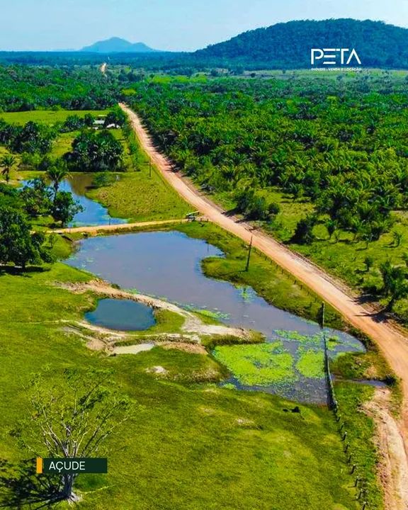 Fazenda Financiável | Psicultura | Pecuária | Vicinal 2 - Cantá  - Foto 5