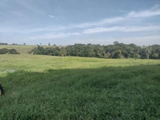 Sorocaba Região 12,5 Alqueires - Foto 5