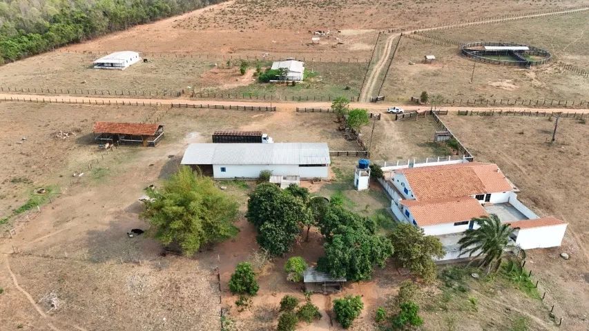 Fazenda com 248 Hectares em Rochedo com Rio São João! - Foto 5