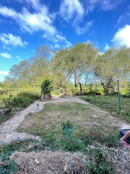 foto - São Luís - Anjo da Guarda