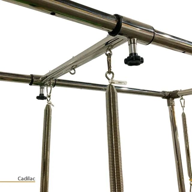 Cadilac Premium - Fisiofit - Foto 4