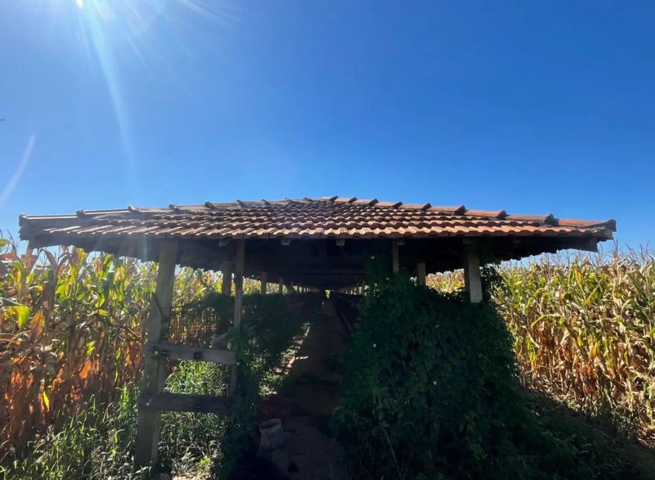 Estrutura para granja madeiramento peroba rosa - Foto 2