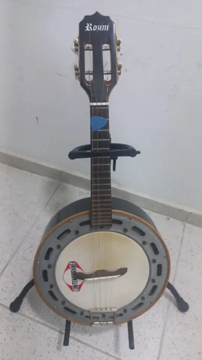 Banjo Rozini Black profissional