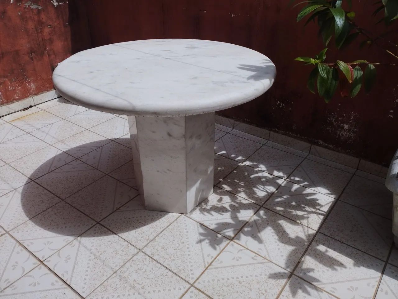 Selvo  Lino  - Foto 2