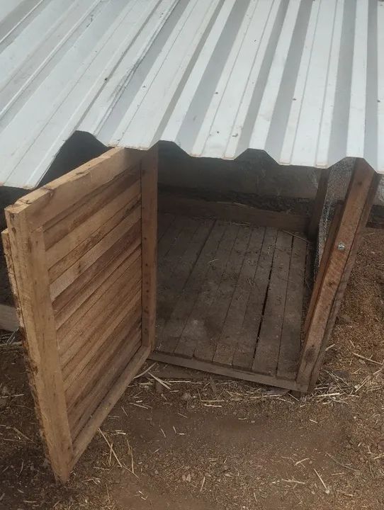 Galinheiro em madeira com telhado de zinco - Foto 3