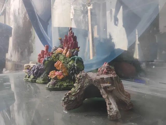 Enfeites para aquários 