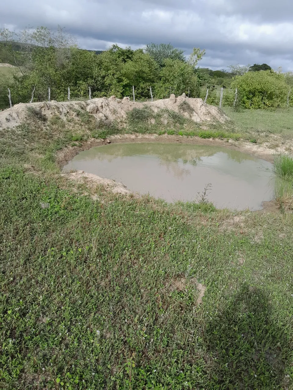 vende se um sítio com três hectares