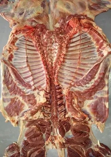 Manta de cordeiro pronta entrega