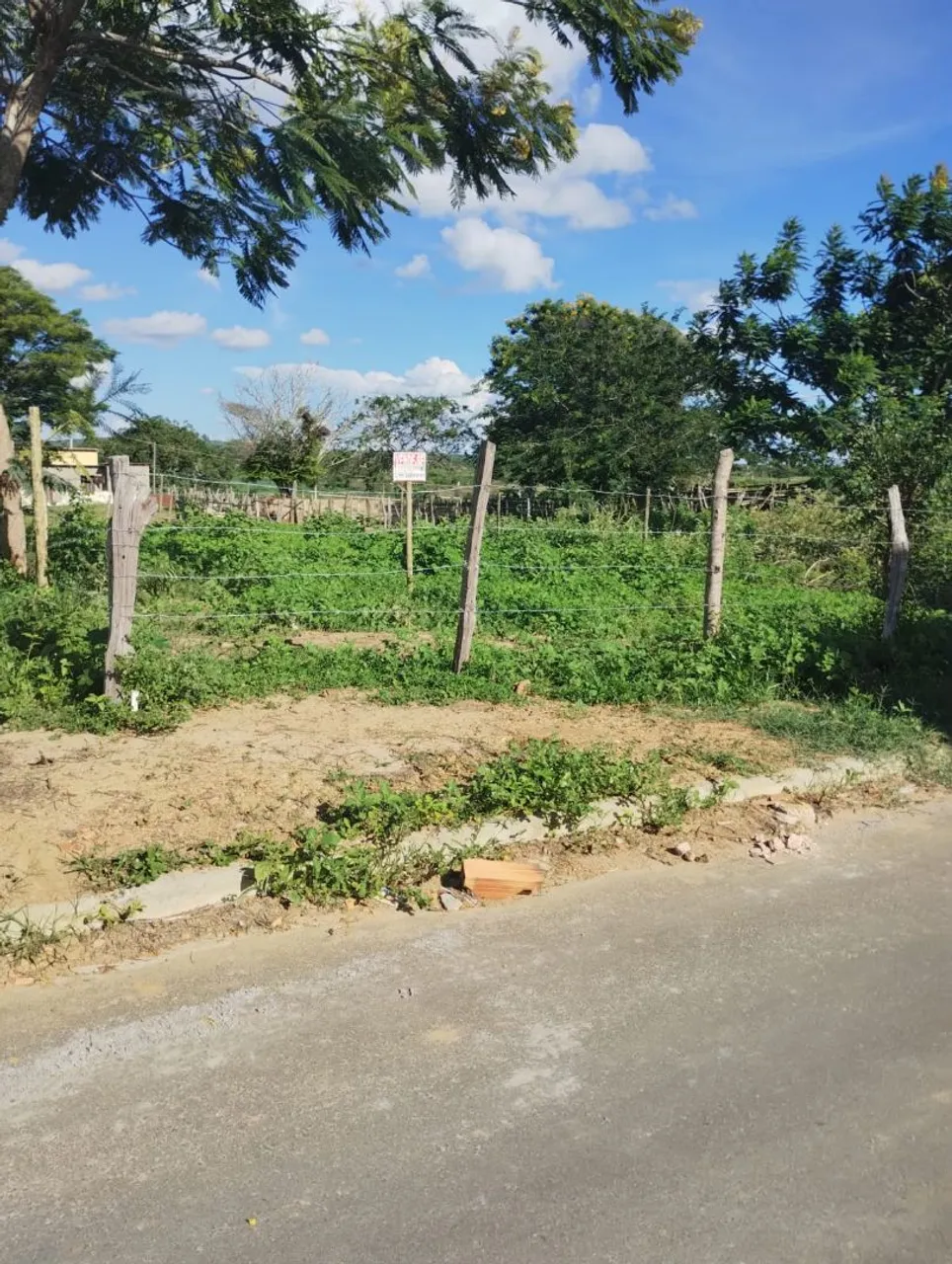 Terreno em Belo Campo Ba