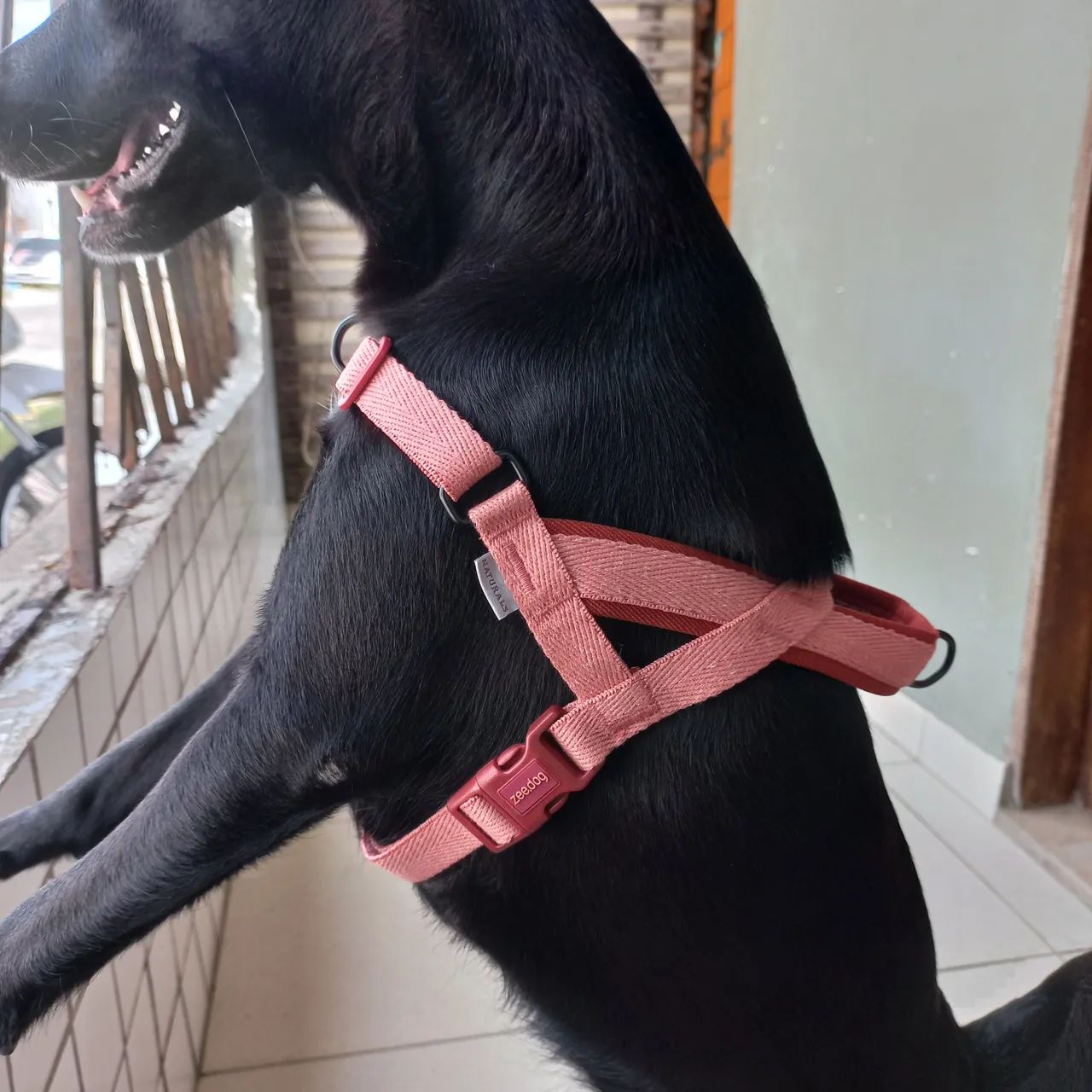 Peitoral Anti-Puxada para Cães Pequenos - Cor Rosa - Foto 2
