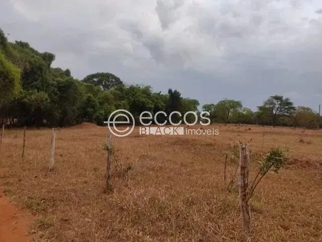 Fazenda à venda, 4 quartos, Miraporanga - Uberlândia/MG - Foto 4