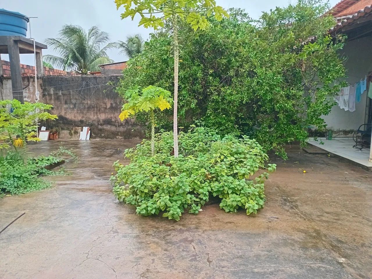 Casa com bastante área livre - Foto 5