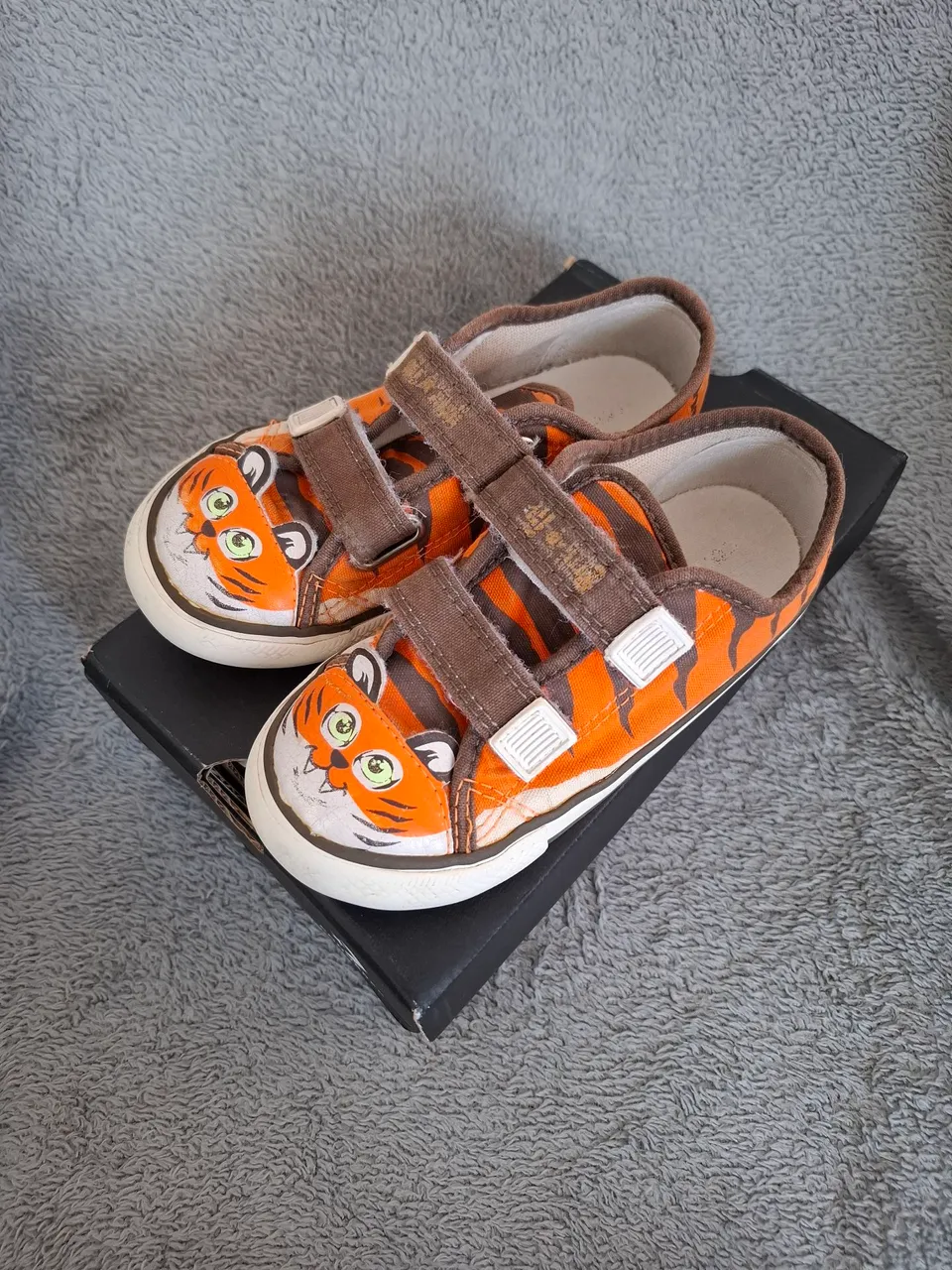 All Star tigre