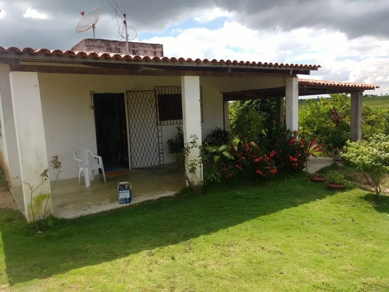 Sítio em Riachão do Poço pra VENDER LIGEIRO