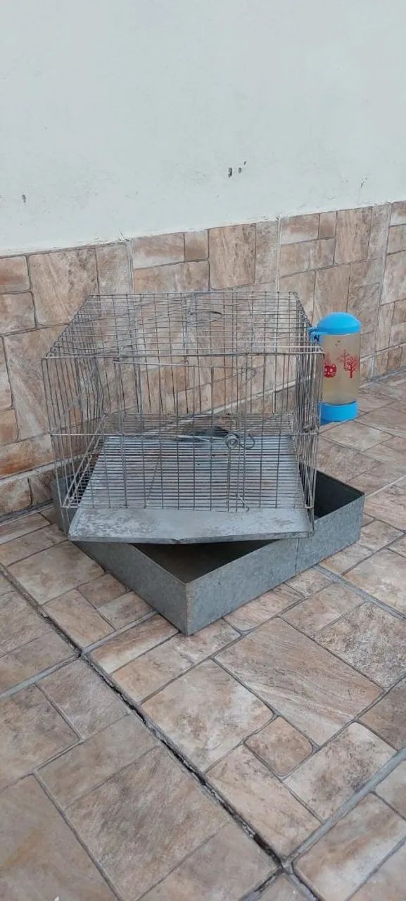 Cage for Rabbits and Guinea Pigs