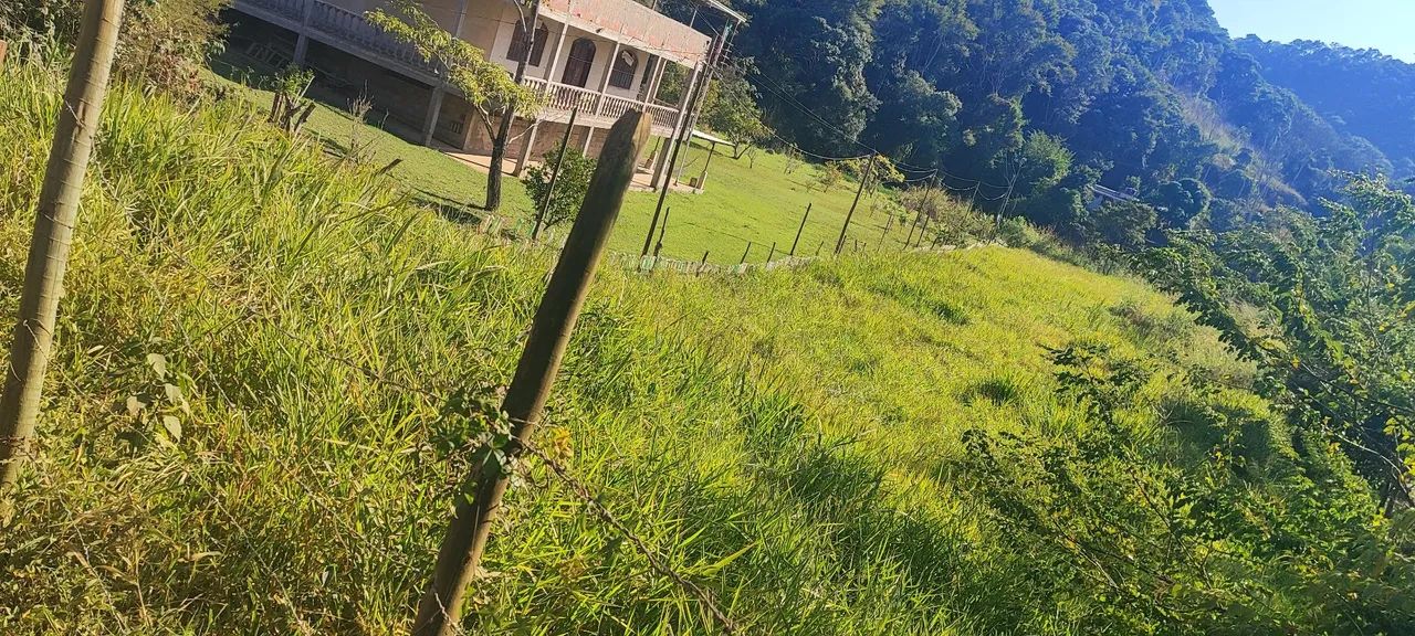 Granja com nascente em Humaitá - Foto 4
