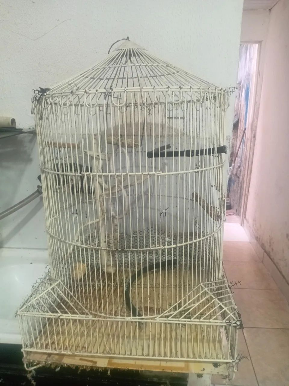 Vende_se gaiola 