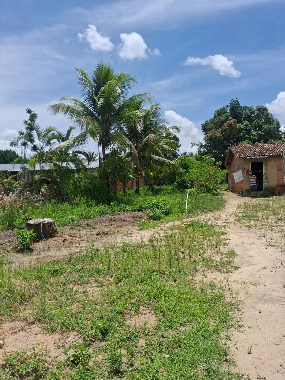 Terreno no povoado sapé  - Foto 4