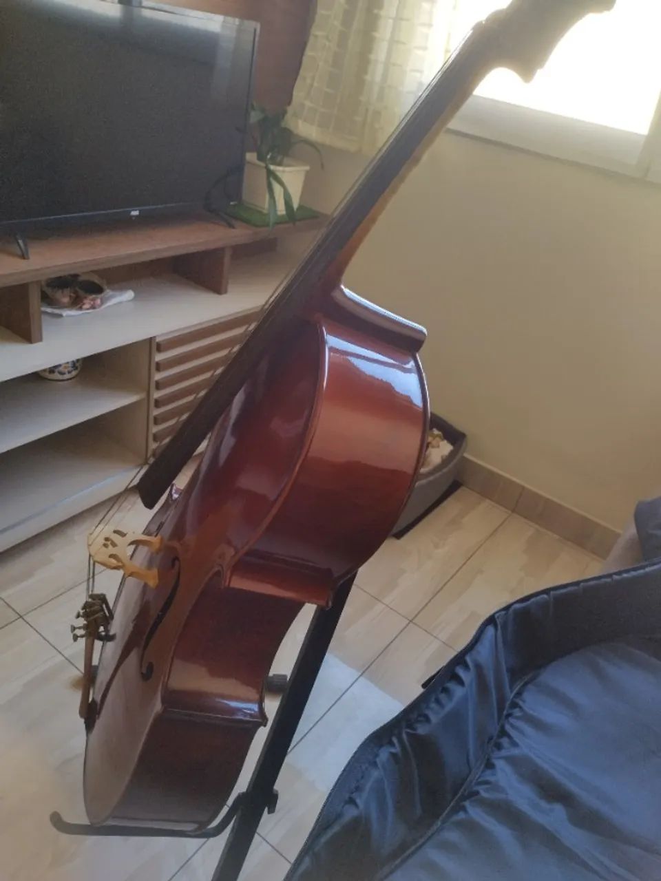 VIOLONCELLO EAGLE C3100 - Foto 2