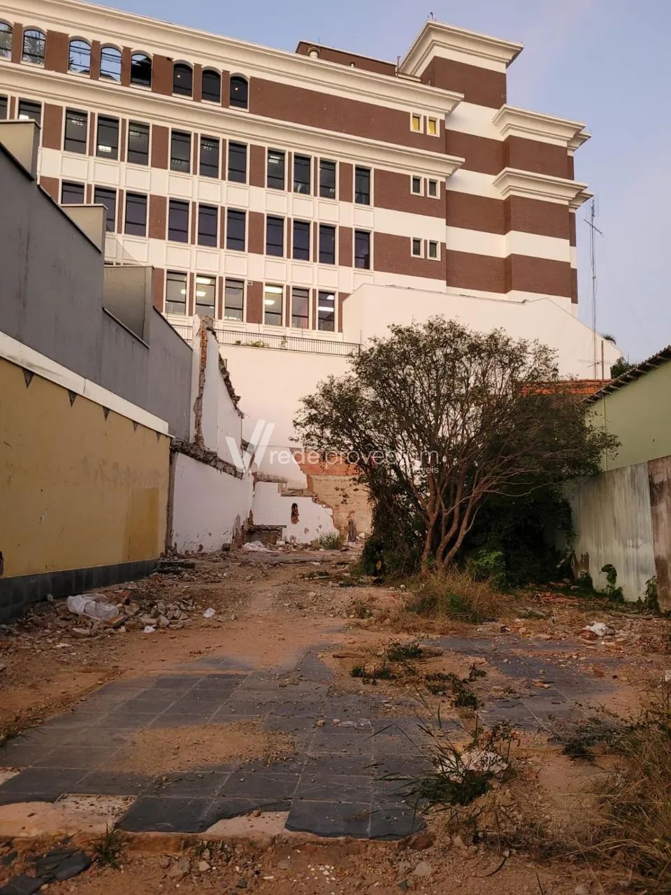 terreno - Cambuí - Campinas - Foto 2