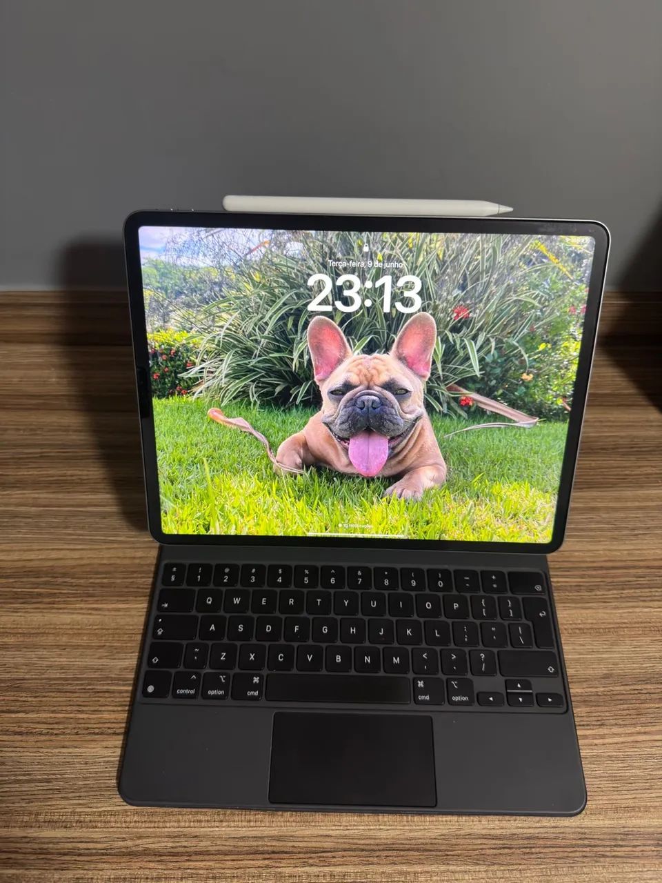 Ipad Pro 6ª geração 12,9 pol 128gb