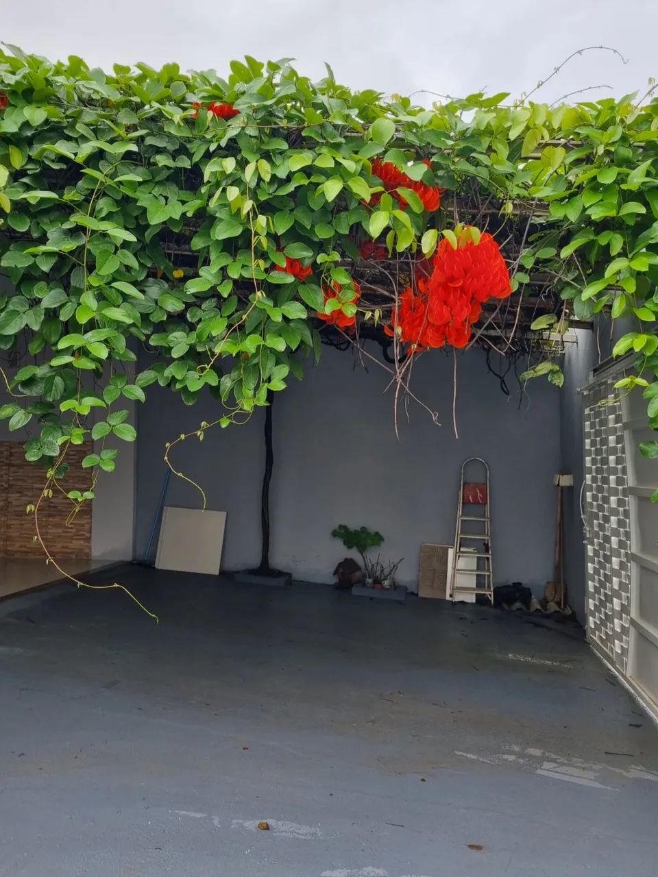 Casa parque dos Carajás  - Foto 2