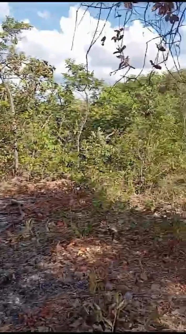 Foto - Montes Claros - Loteamento Novo Jaraguá