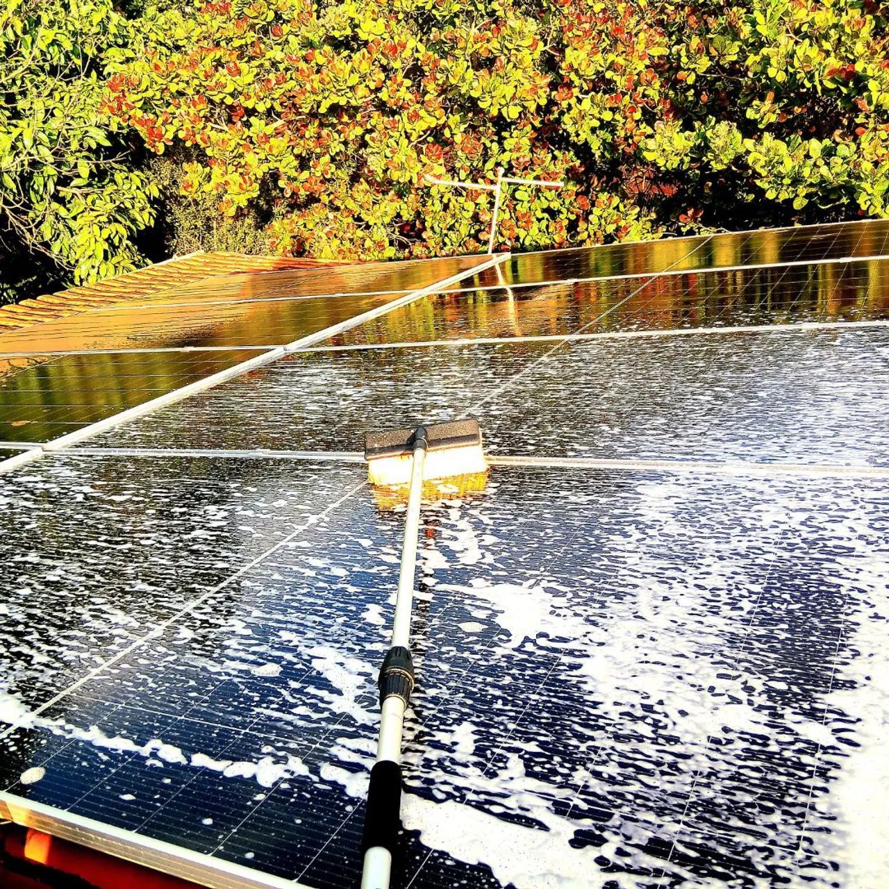 JM limpeza de painéis solar profissional  - Foto 2