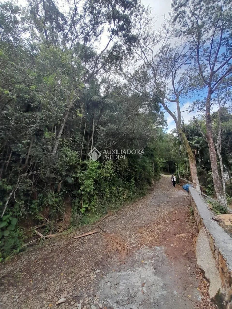 Terreno no bairro Pântano do Sul - Foto 5